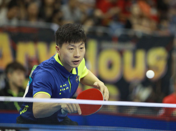 不仅具备极 不仅具备极