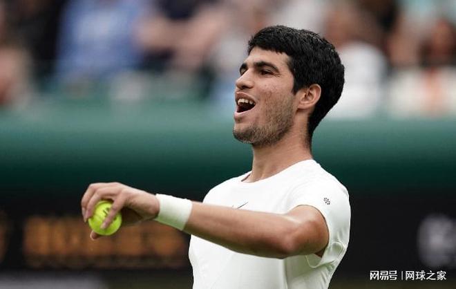 莱斯的灵活 莱斯的灵活